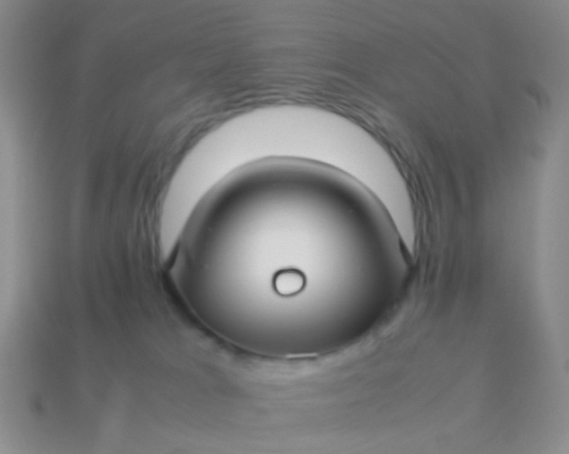 X0000114010037200910161744