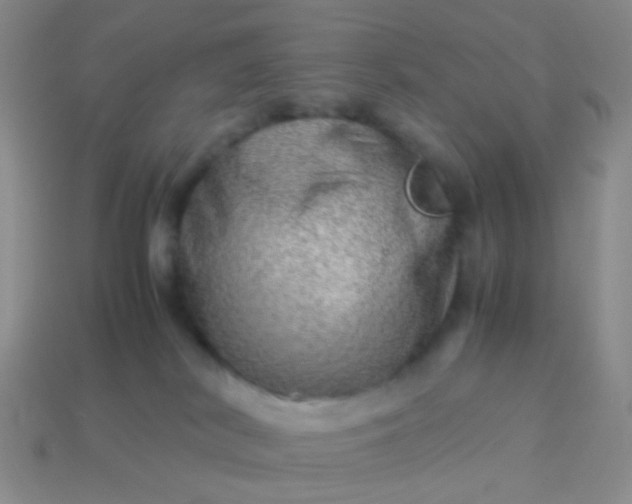 X0000114010038200910161744