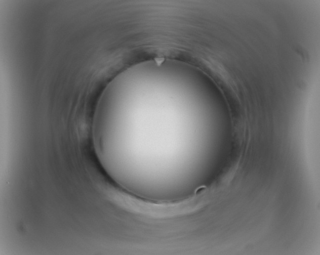 X0000114010039200910161744