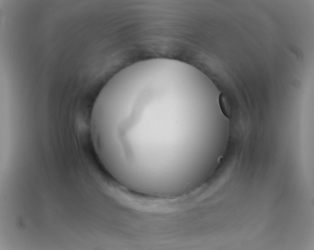 X0000114010040200910161744