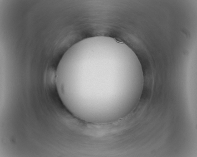 X0000114010041200910161744