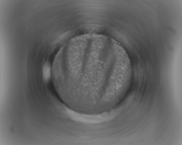 X0000114010042200910161744