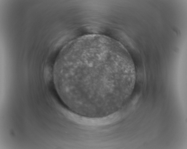 X0000114010043200910161743