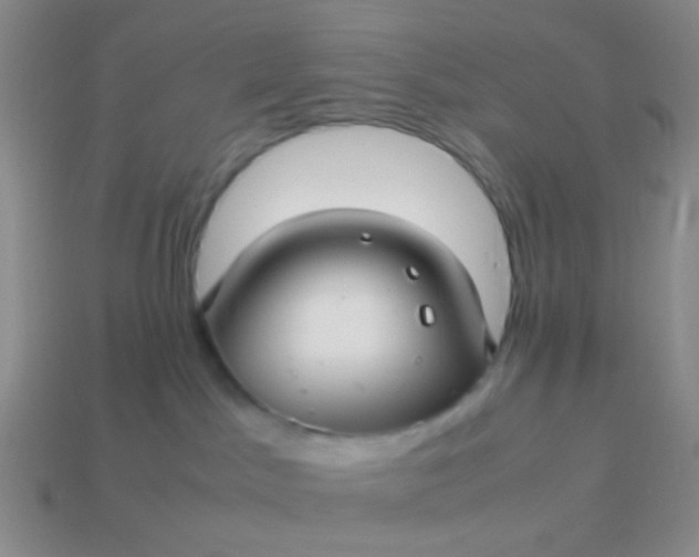 X0000114010045200910161743