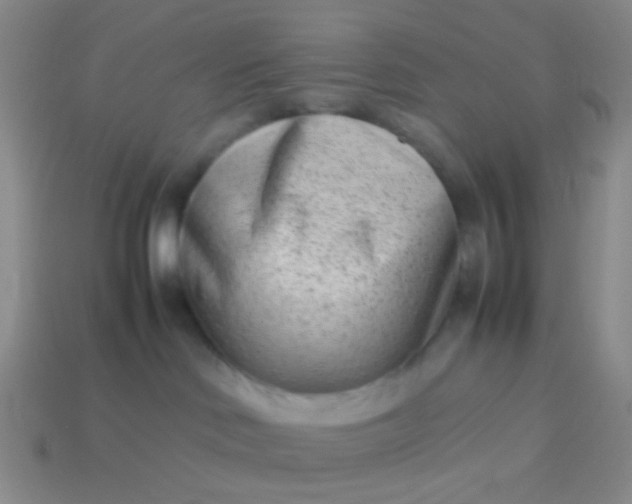 X0000114010046200910161743