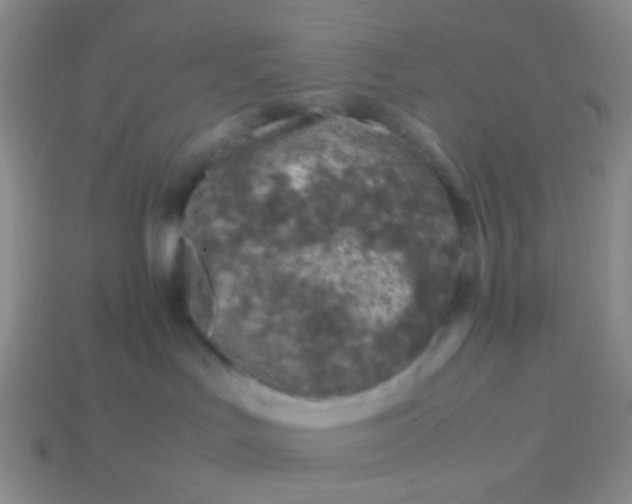 X0000114010047200910161743