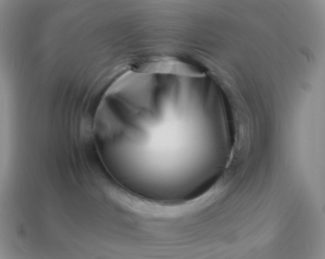 X0000114010048200910161743