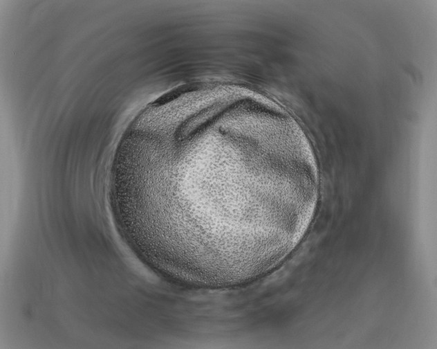 X0000114010049200910161743