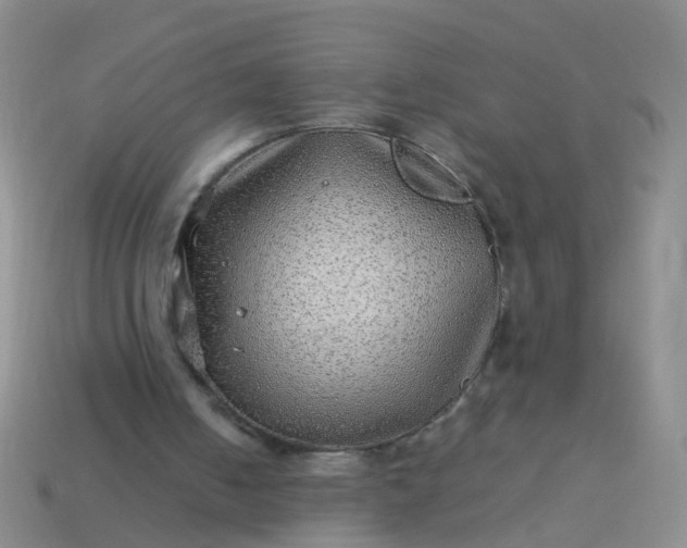 X0000114010050200910161743