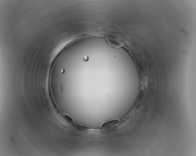 X0000114010052200910161743