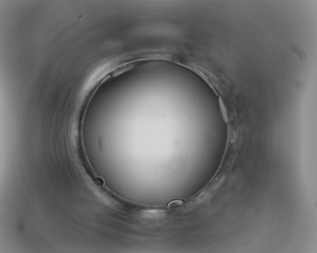 X0000114010053200910161743