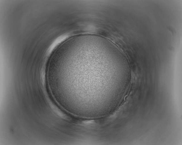 X0000114010054200910161743