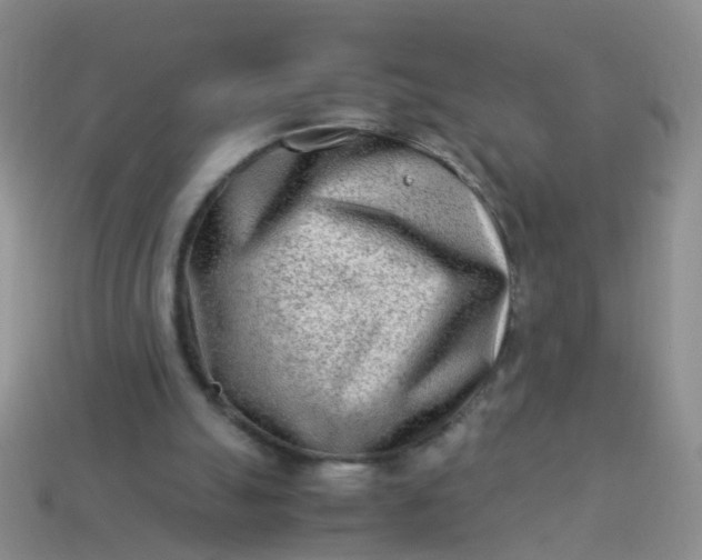 X0000114010055200910161743