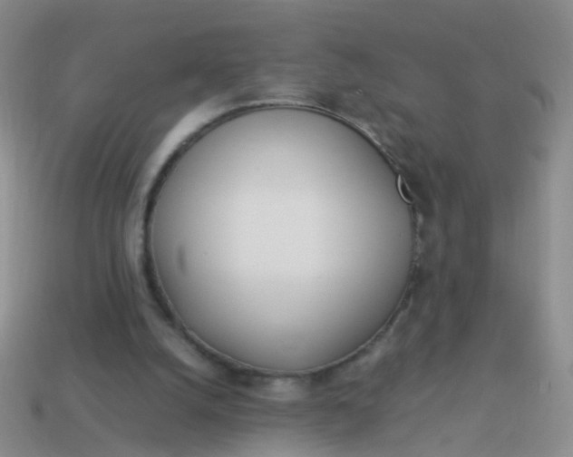 X0000114010056200910161743