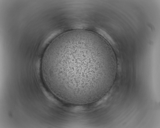 X0000114010058200910161743