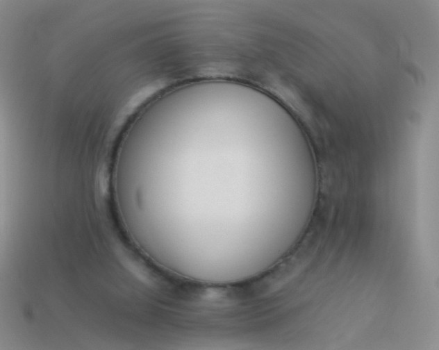 X0000114010060200910161743