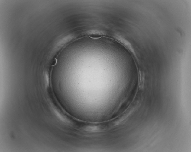 X0000114010061200910161743