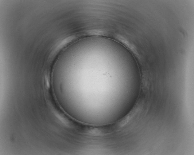 X0000114010062200910161743