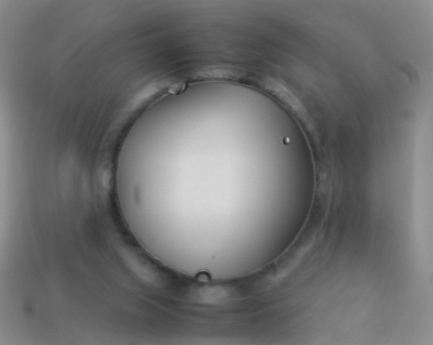 X0000114010063200910161743