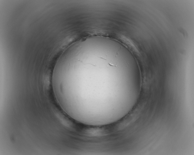 X0000114010065200910161743