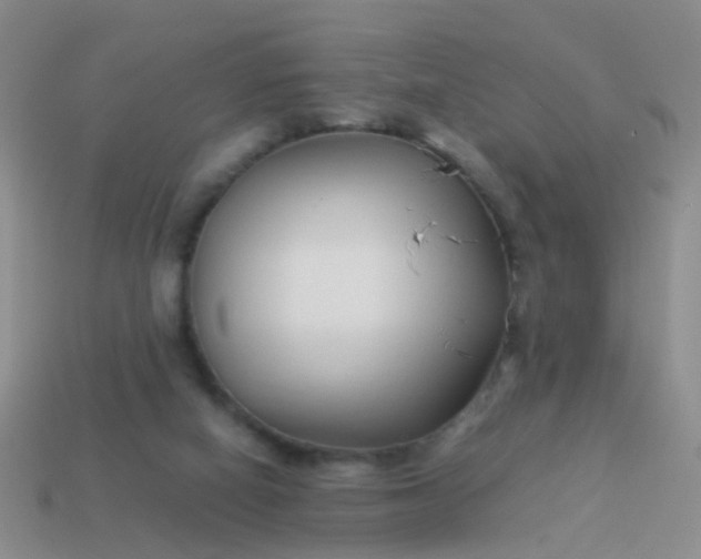 X0000114010066200910161743