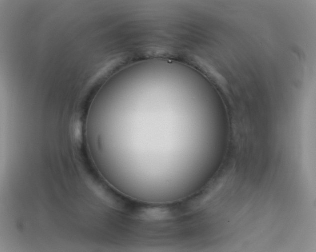 X0000114010067200910161743