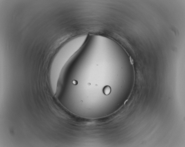 X0000114010068200910161743