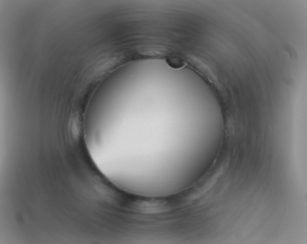 X0000114010069200910161743