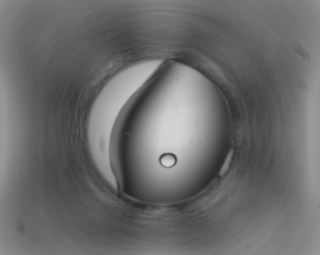 X0000114010072200910161743