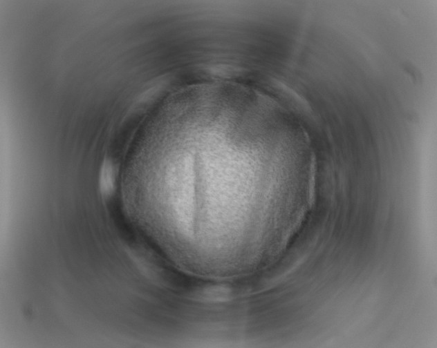 X0000114010075200910161743