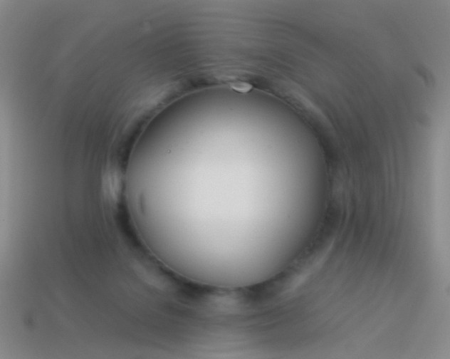 X0000114010076200910161743