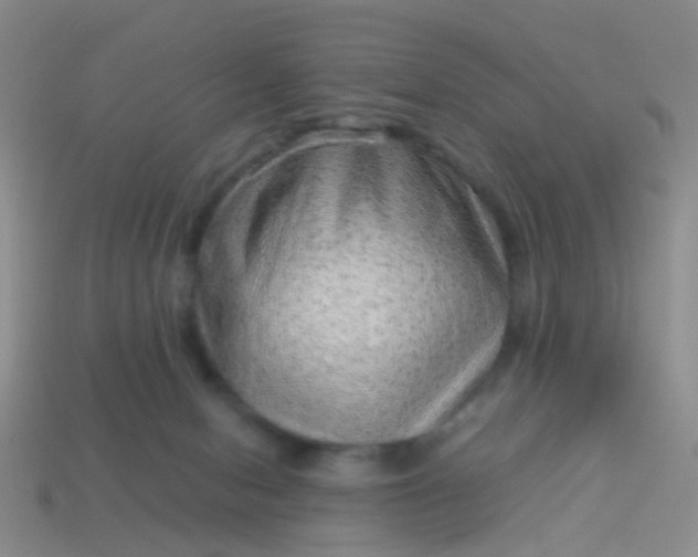 X0000114010078200910161743