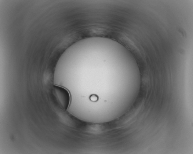 X0000114010079200910161743