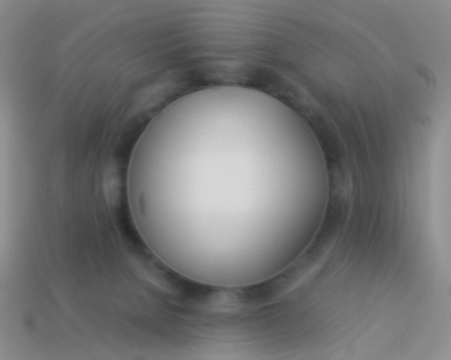 X0000114010080200910161743