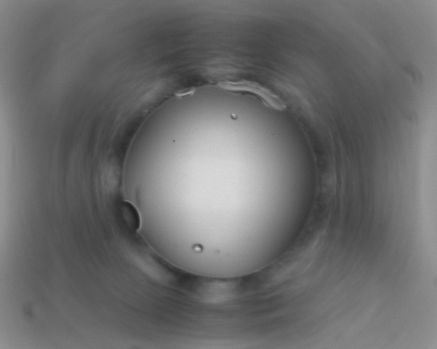 X0000114010081200910161743