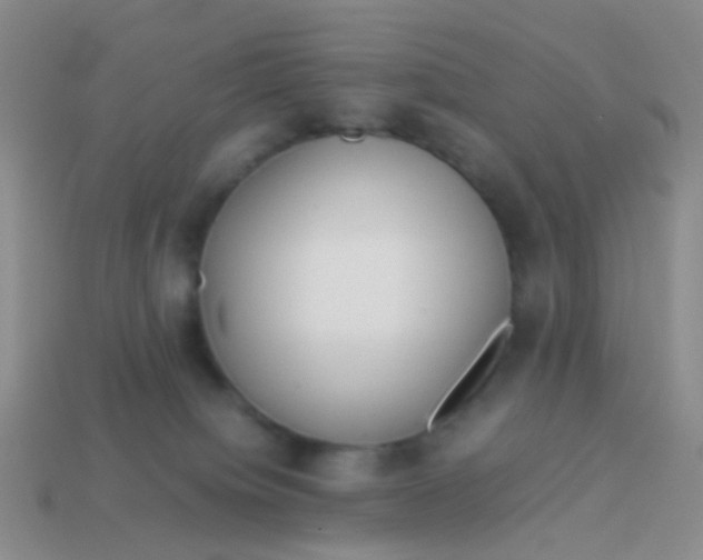 X0000114010084200910161743