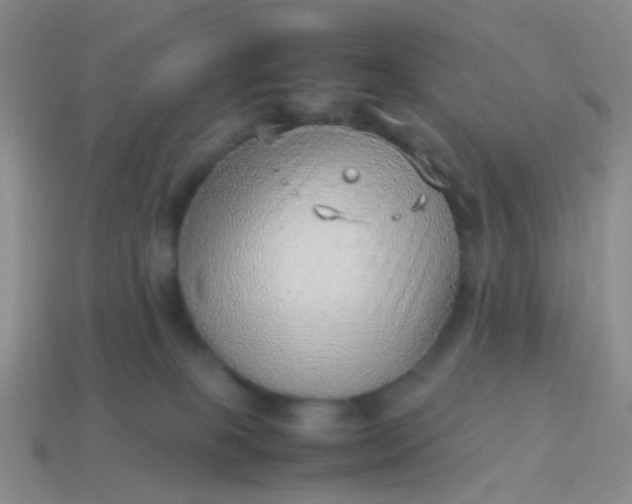 X0000114010085200910161743