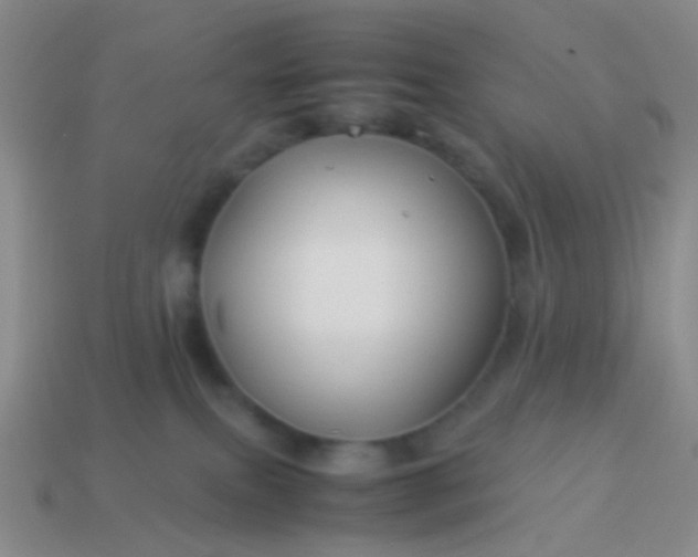 X0000114010087200910161743