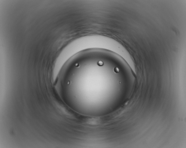 X0000114010088200910161743