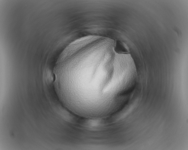 X0000114010089200910161743