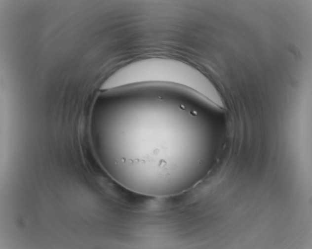 X0000114010092200910161743