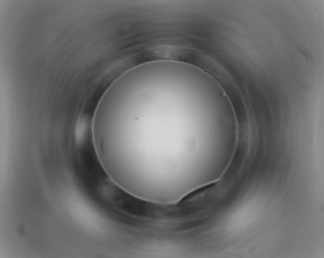 X0000114010095200910161743