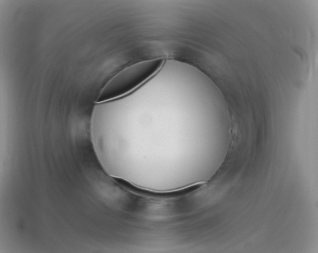 X0000114010096200910161743