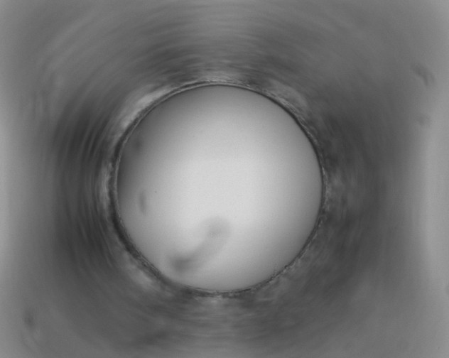 X0000114010098200910161743