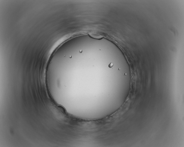 X0000114010100200910161743