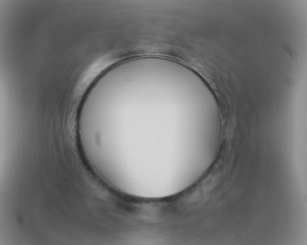 X0000114010103200910161743