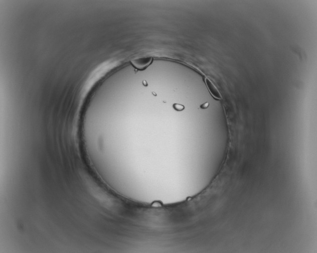 X0000114010104200910161743