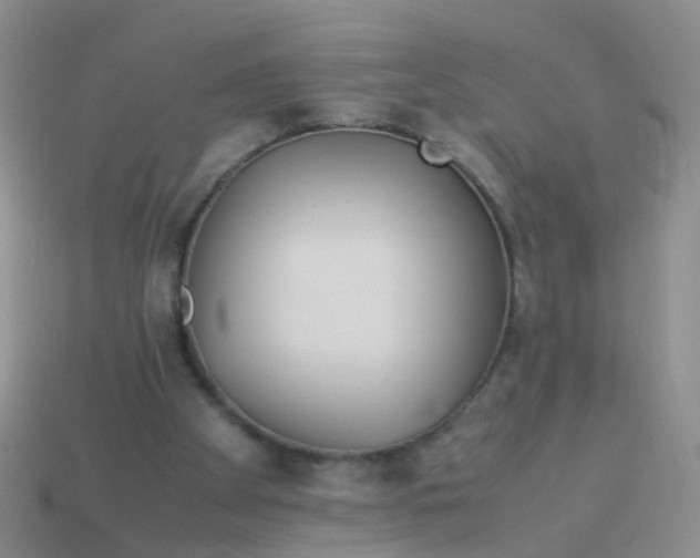 X0000114010105200910161743