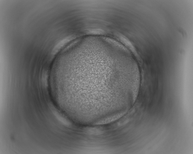 X0000114010106200910161743