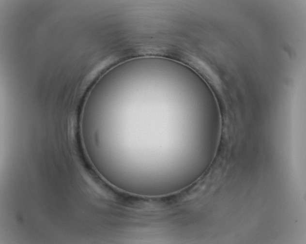 X0000114010107200910161743